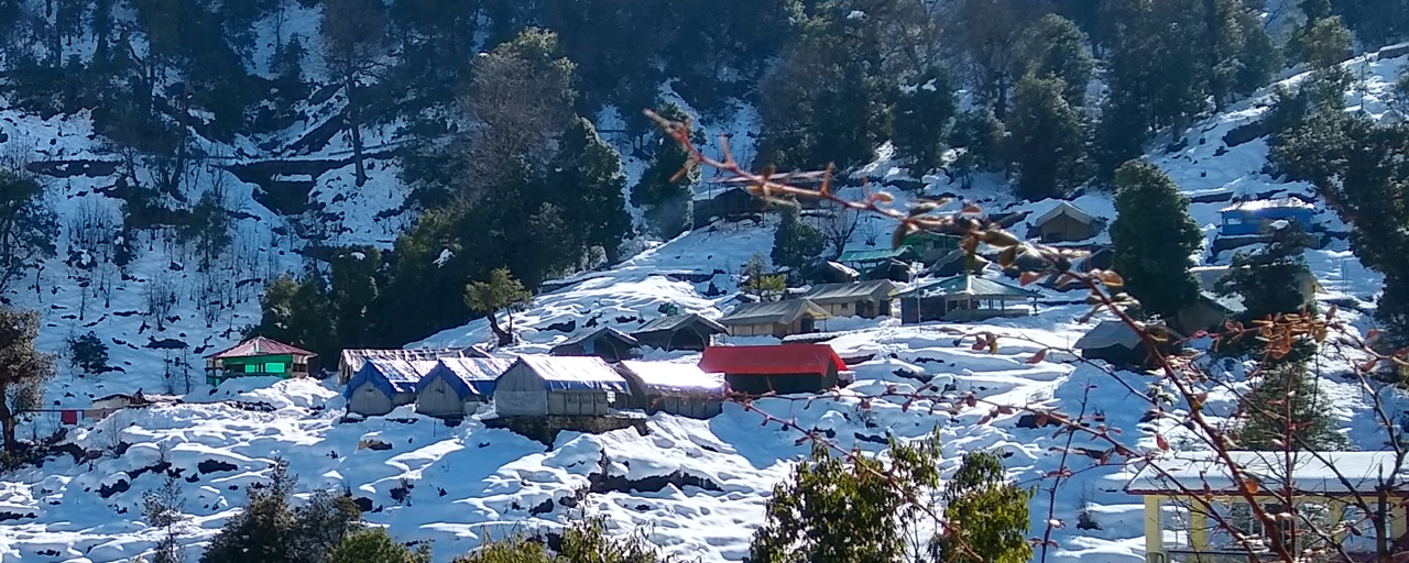 Camping in Chopta